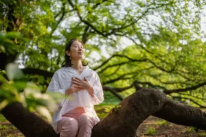 forest bathing and nature mindfulness Rotorua